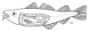 fiskinnyfli.gif (9821 bytes)