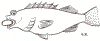 karfi.gif (7872 bytes)