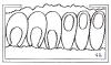 rodun.gif (11234 bytes)